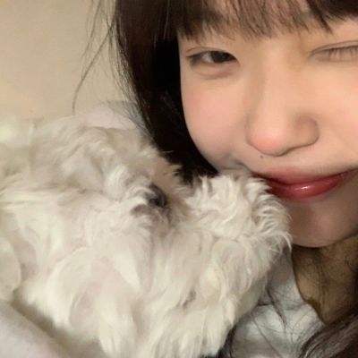 梦想的元素手游下载